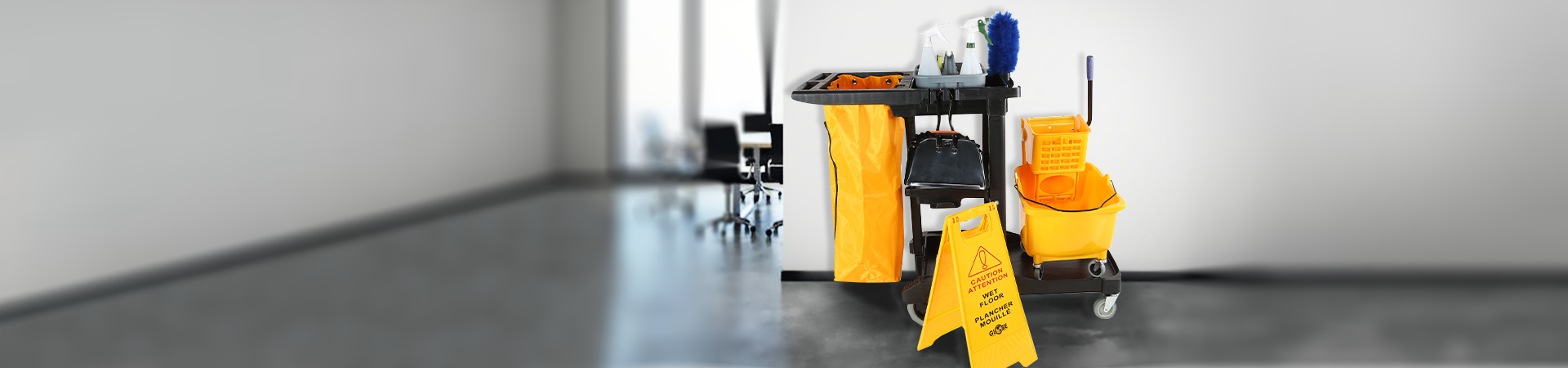 General Cleaning