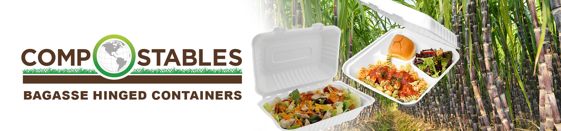 Bagasse Hinged Containers