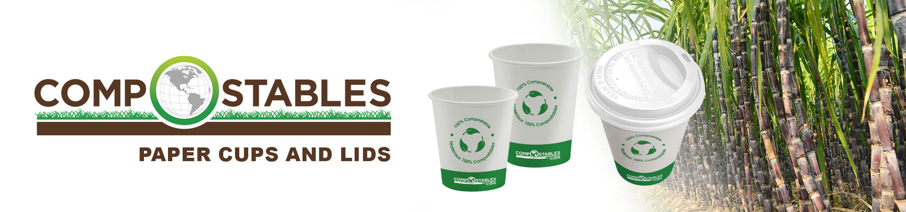 Paper Cups and Lids – Globe Commercial Products