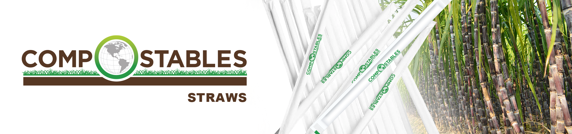 Wrapped Paper Straws – Globe Commercial Products