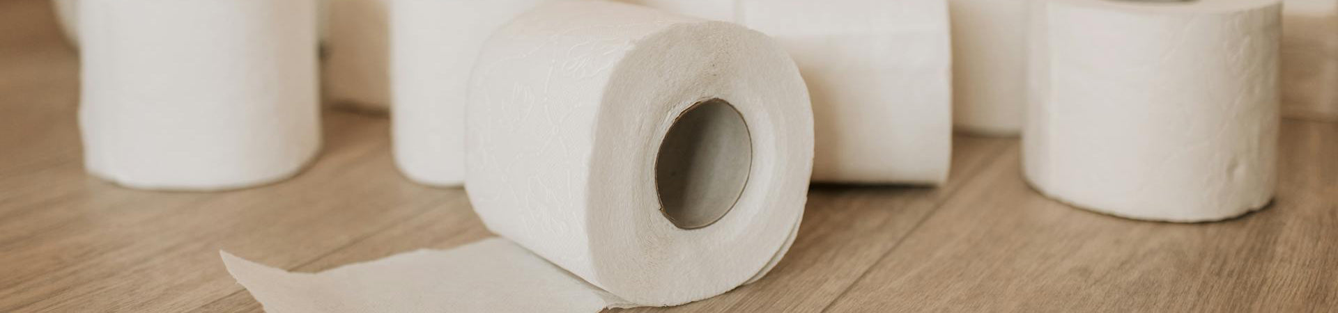 Standard Toilet Tissue