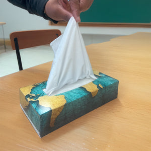 Facial Tissue - Flat Box FT100